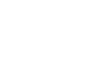 Sony Vaio