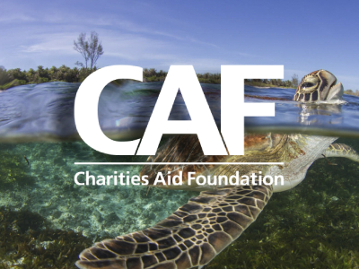 Charities Aid Foundation